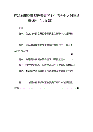 （11篇）在2024年巡察整改专题民主生活会个人对照检查材料范文精选.docx