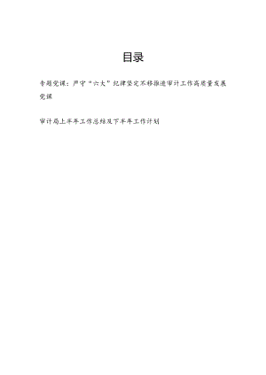 审计局严守“六大”纪律党课讲稿和审计局上半年工作总结及下半年工作计划.docx