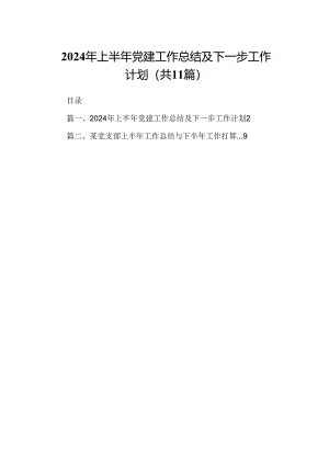 （11篇）2024年上半年党建工作总结及下一步工作计划（精选）.docx