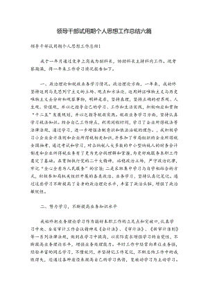 领导干部试用期个人思想工作总结六篇.docx