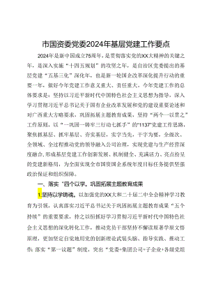 市国资委党委2024年基层党建工作要点.docx