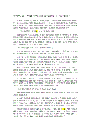 经验交流：党建引领聚合力 共绘发展“新图景”.docx