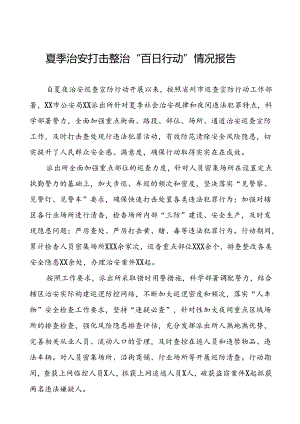 派出所2024公安夏季治安打击整治行动情况报告七篇.docx