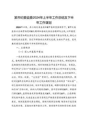 某市纪委监委2024年上半年工作总结及下半年工作谋划.docx