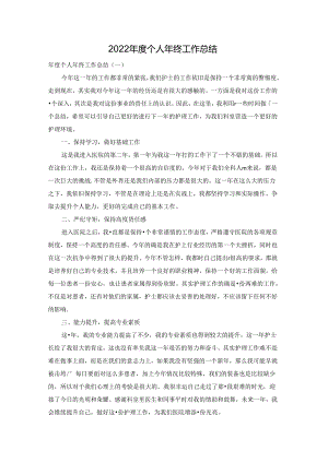 2022年度个人年终工作总结.docx