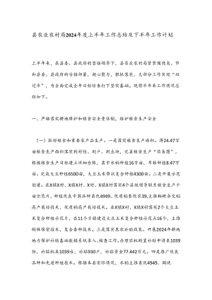 县农业农村局2024年度上半年工作总结及下半年工作计划.docx