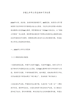 乡镇上半年工作总结和下步打算.docx