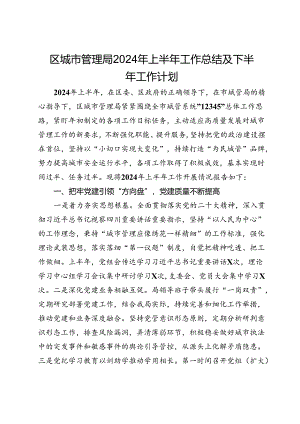 区城市管理局2024年上半年工作总结及下半年工作计划.docx