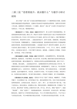 三抓三促“思想要提升我该懂什么”专题学习研讨材料.docx