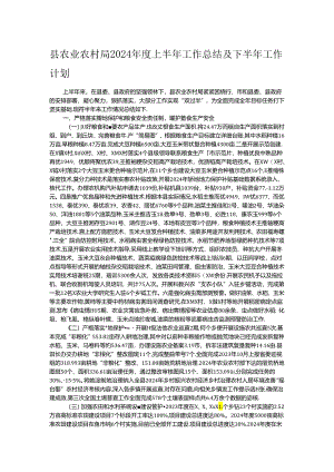 县农业农村局2024年度上半年工作总结及下半年工作计划.docx