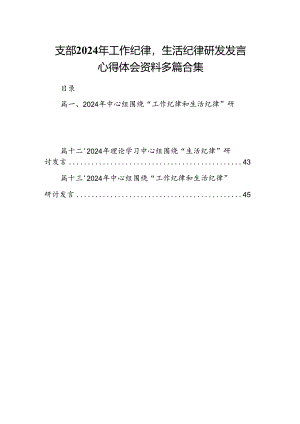 支部2024年工作纪律生活纪律研发发言心得体会资料多篇合集.docx