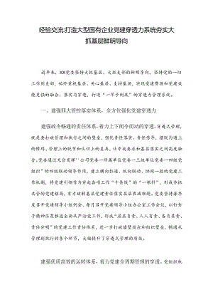 经验交流：打造大型国有企业党建穿透力系统 夯实大抓基层鲜明导向.docx