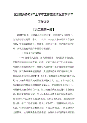（2篇）区财政局2024年上半年工作完成情况及下半年工作谋划.docx