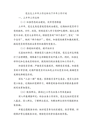 党总支上半年工作总结与下半年工作计划.docx