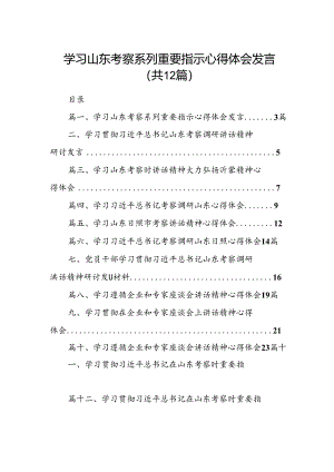 学习山东考察系列重要指示心得体会发言（共12篇）.docx