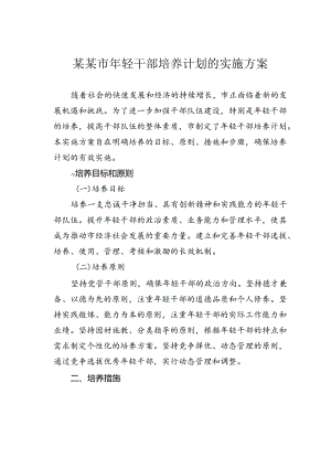 某某市年轻干部培养计划的实施方案.docx