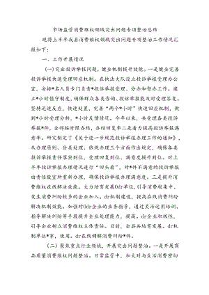 市场监管消费维权领域突出问题专项整治总结.docx