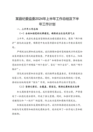 某县纪委监委2024年上半年工作总结及下半年工作计划.docx