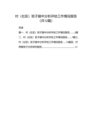 村(社区)班子届中分析评估工作情况报告样本12篇（精选版）.docx