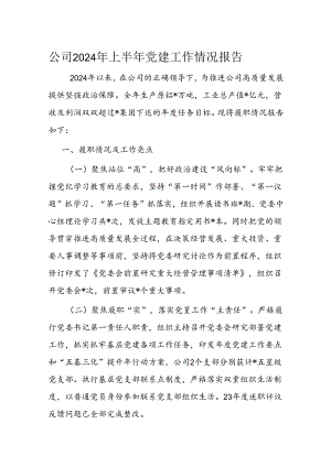 公司2024年上半年党建工作情况报告.docx