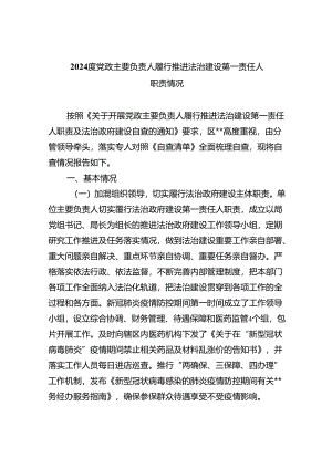 度党政主要负责人履行推进法治建设第一责任人职责情况5篇（精选版）.docx