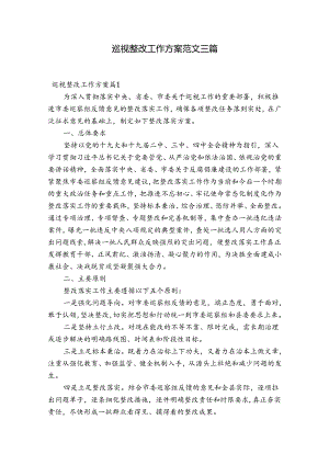 巡视整改工作方案范文三篇.docx