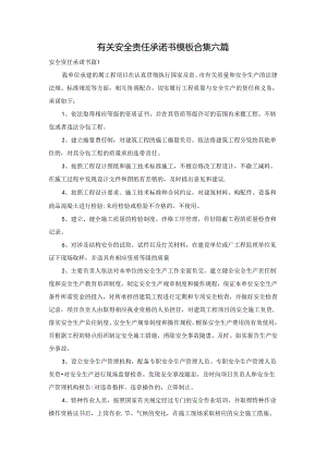 有关安全责任承诺书模板合集六篇.docx