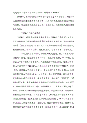 党建处2024年工作总结及下半年工作计划（3438字）.docx