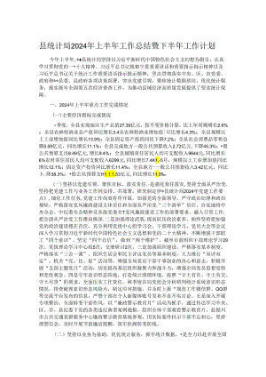 县统计局2024年上半年工作总结暨下半年工作计划.docx