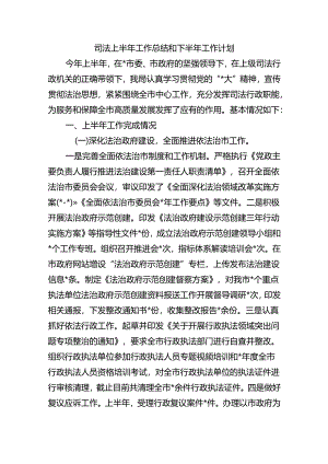司法上半年工作总结和下半年工作计划.docx