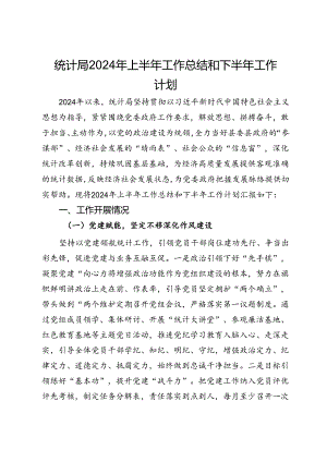统计局2024年上半年工作总结和下半年工作计划.docx