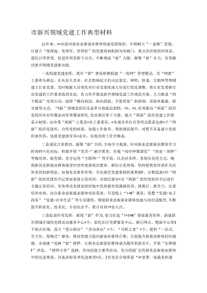 市新兴领域党建工作典型材料.docx