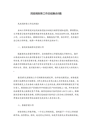 民政局财务工作总结集合5篇.docx