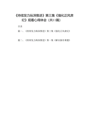 （11篇）《持续发力纵深推进》第三集《强化正风肃纪》观看心得体会集锦.docx