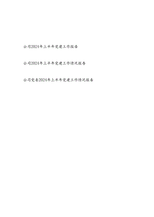 国企公司党委2024年上半年党建工作情况报告总结3篇.docx