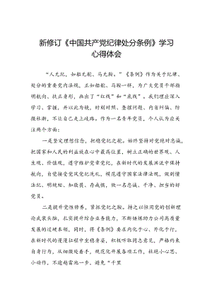 青年党员关于2024年新修订《中国共产党纪律处分条例》学习心得体会七篇.docx