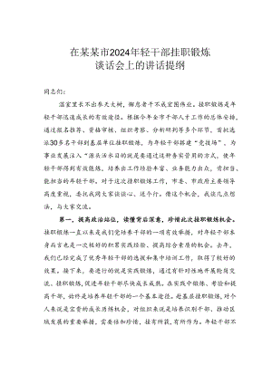 在某某市2024年轻干部挂职锻炼谈话会上的讲话提纲.docx
