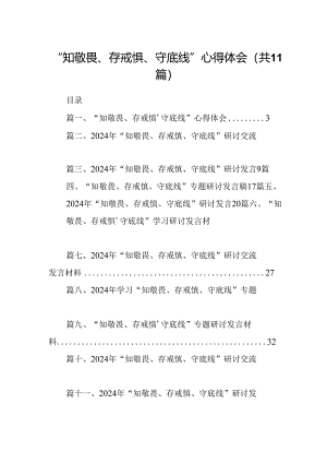 （11篇）“知敬畏、存戒惧、守底线”心得体会优选.docx