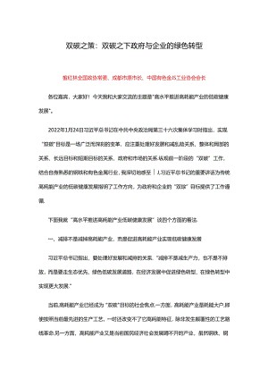 葛红林&宋鑫---双碳之策：双碳之下政府与企业的绿色转型（演讲全文）.docx