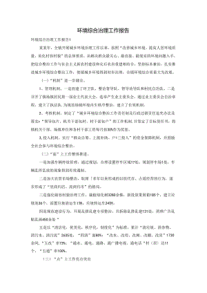 环境综合治理工作报告.docx