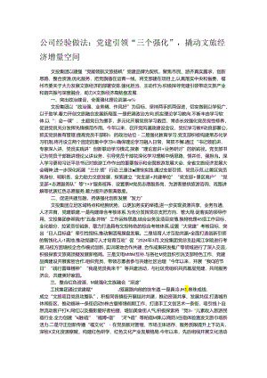 公司经验做法：党建引领“三个强化”撬动文旅经济增量空间.docx