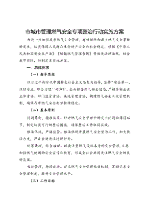 市城市管理燃气安全专项整治行动实施方案.docx