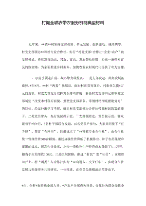 村健全联农带农服务机制典型材料.docx