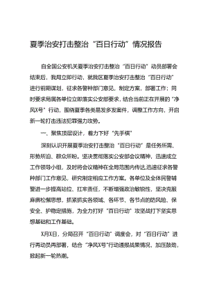 2024年公安夏季治安打击整治专项行动总结汇报8篇.docx