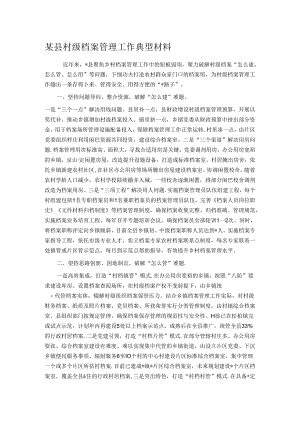某县村级档案管理工作典型材料.docx