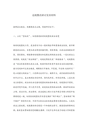 巡视整改研讨发言材料.docx