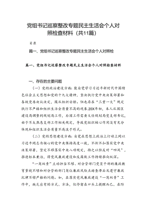 （11篇）党组书记巡察整改专题民主生活会个人对照检查材料优选.docx