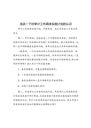 浅谈一下对审计工作计划的认识.docx