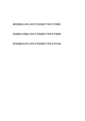 市区县司法局2024年上半年工作总结及下半年工作安排2篇.docx