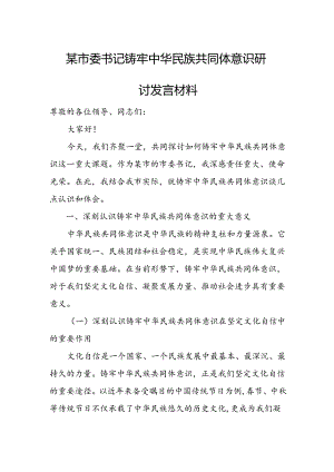 某市委书记铸牢中华民族共同体意识研讨发言材料.docx